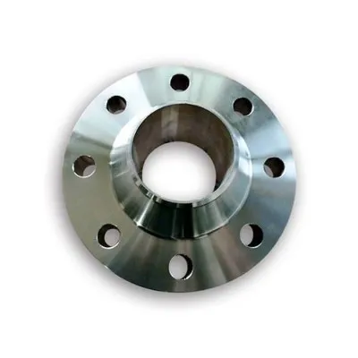 Stainless Steel 310 / 310S Flanges