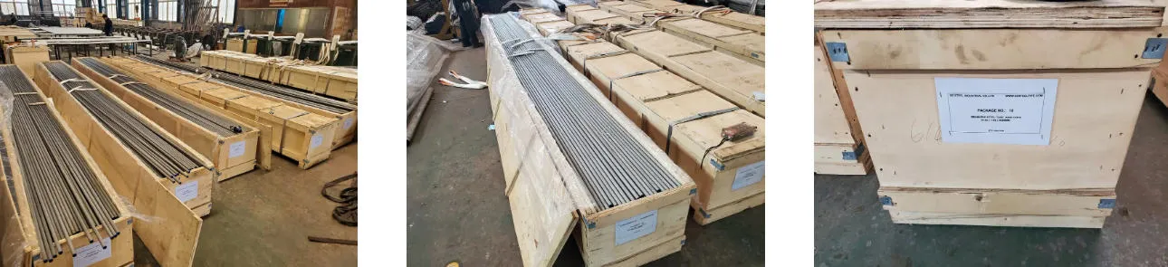 ASTM A268 TP446 Stainless Steel Seamless Pipe ASTM A268 TP446 Stainless Steel Seamless Pipe